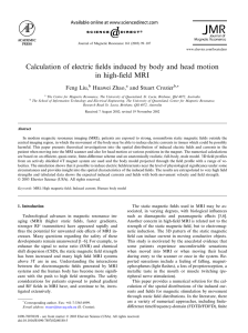Calculation of electric fields induced by body and head motion in