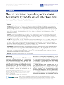 The coil orientation dependency of the electric field induced by TMS