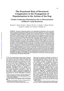 The Functional Role of Structural Complexities in the Propagation of