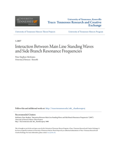 Interaction Between Main Line Standing Waves and Side Branch