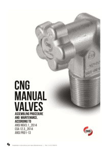 Installation Instructions and valve Maintenance