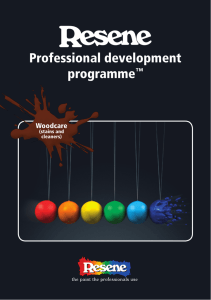 Professional Development Programme