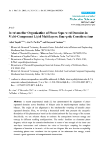 Interlamellar Organization of Phase Separated Domains in Multi