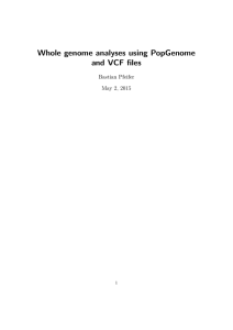Whole genome analyses using PopGenome and VCF files