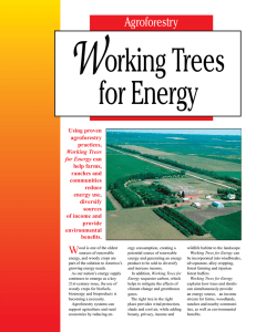Working Trees for Energy - National Agroforestry Center