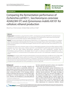 Comparing the fermentation performance of Escherichia coli KO11