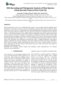 IEEE Paper Word Template in A4 Page Size (V3)