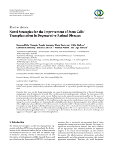 Novel Strategies for the Improvement of Stem Cells` Transplantation