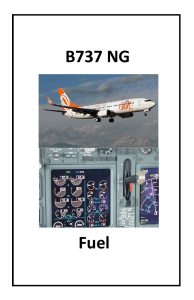 Fuel - 737NG.co.uk