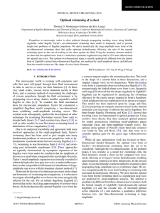 rapid - damtp - University of Cambridge