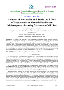 Isolation of Nostocales and Study the Effects of Scytonemin on Growth Profile and Melanogenesis by using Melanoma Cell Line