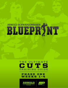 Arnold Blueprint To Cut