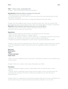 Lab Report Template for Science Experiments