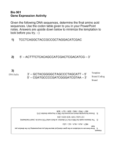 Gene Expression Work Sheet with answers