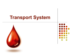 Circulatory System - Blood