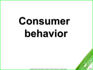 24566735-Consumer-Behaviour-Ppt