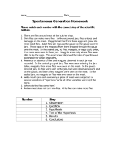 Spontaneous Generation Worksheet
