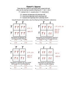 Punnett Squares Practice 1 Answers