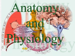 Anatomy & Physiology Overview: Levels & Systems