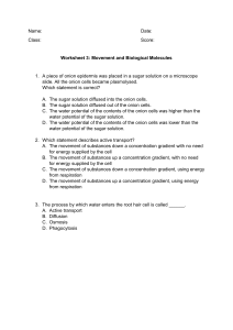 Worksheet 2 Movement and Biological Molecules