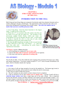 Ch 1 - Cells