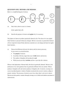 Year 9 genetics revisions