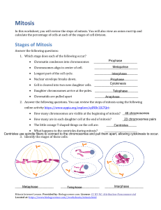 Mitosis Worksheet (1)-Omkar(2)