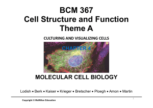 Theme A CULTURING AND VISUALIZING CELLS 2021 Week 1 Slides PDF - Copy (2)