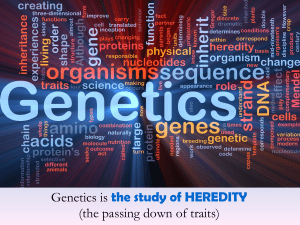 Reproduction and Genetics ppt