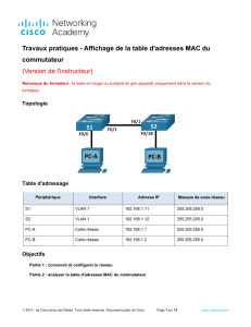 7.3.7 Lab - View the Switch MAC Address Table - ILM