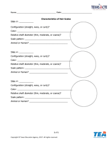 Characteristics of Hair Scales