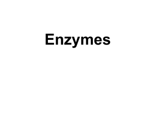 2018 Enzymes