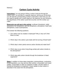 Carbon Cycle Activity Sheet