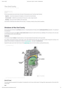 m4 - extra The Oral Cavity - Divisions - Innervation -