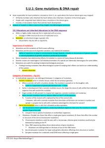 summaries 1 2