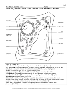 Plant Cell Assignment