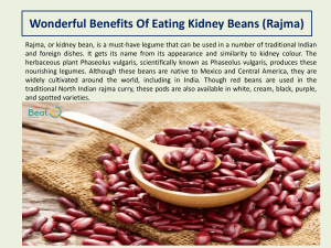 Wonderful Benefits Of Eating Kidney Beans (Rajma)