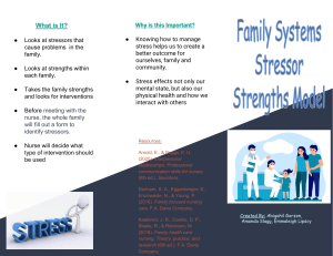Family Systems Stressor-Strengths Model Brochure
