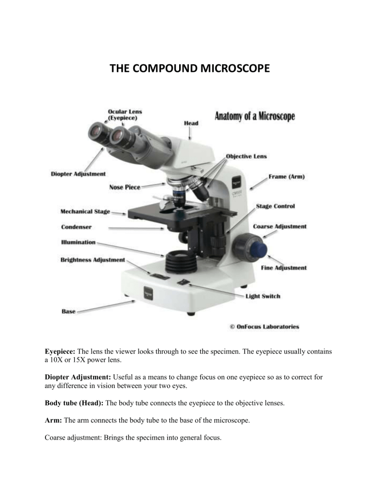 parts-and-functions-of-the-compound-microscope-2