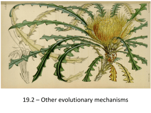 Evolutionary mechanisms