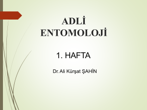 Forensic Entomology Turkish