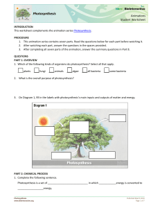 Photosynthesis Animations Notes (6)