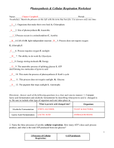 Chance Campbell - Cellular Respiration & Photosynthesis Worksheet 10-04-21 (1) (1)
