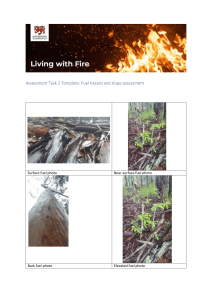 Fuel Hazard & Slope Assessment Template