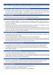 Prokaryotes, Eukaryotes & Endosymbiosis Lecture Notes