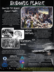 BUBONIC PLAGUE Infographic