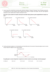 11. Sınıf Biyoloji Tekrar Testi
