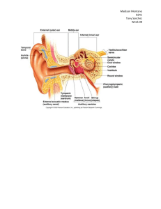 10-11-21 Sensory Physiology Structure Activity KEY