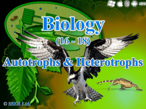 3.5.1 Autotrophs - Heterotrophs