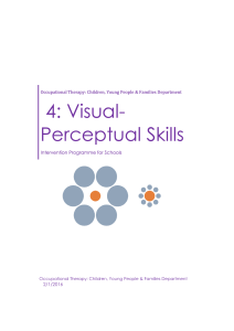 Visual Perceptual Intervention Program